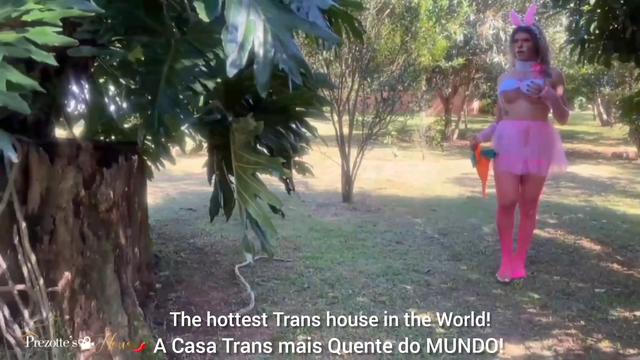 Vejam Grande Orgia Trans, varias coelhinhas trans foram atras da cenoura e acabaram encontrando dois coelhos gulosos no meio do caminho.