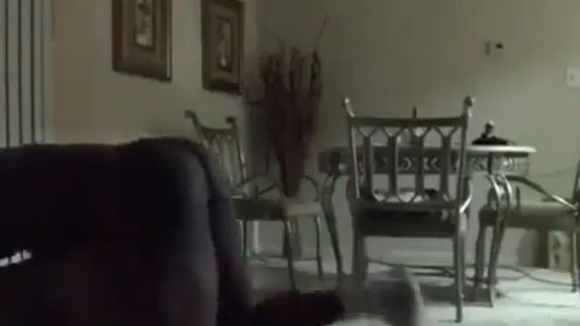 A putaria rolando solta de madrugada