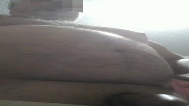 Cara gordinho de 56 anos super safado se exibindo na...