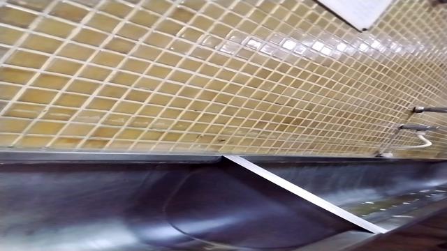 FLAGRAS & SHITTING in the bathroom at the Ti**tê bus...