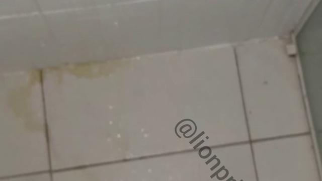 Seguidor 22cm: MIJÃO DE TESÃO