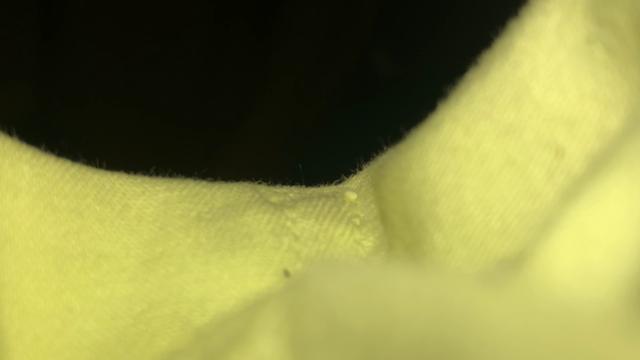 One of the quickest adventures in the sexy rose