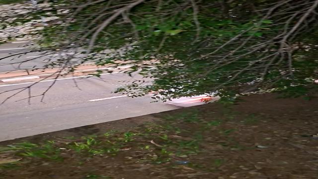 NOSSA VIADINHO GOSTOSO NA TRILHA LEITADA 
