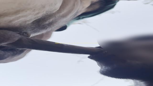 AS VEZES O PAU NÃO SOBE DE JEITO NENHUM