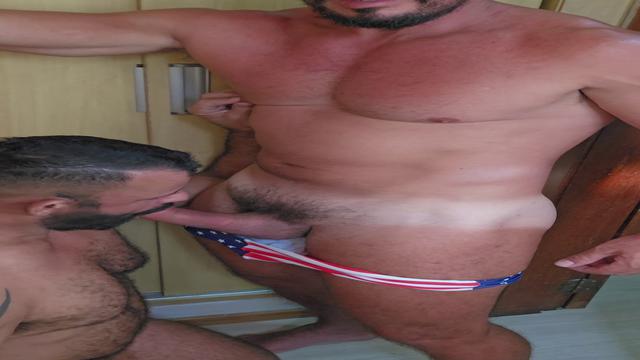 Urso mamador 