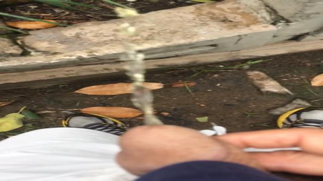 Solo - Mijo no mato
