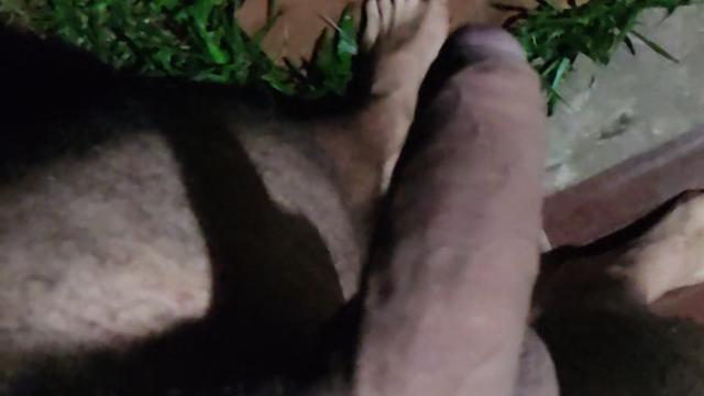 Um Mijao no escuro.