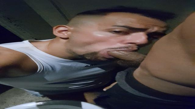 BANHEIRÃO - BEBADO NA BALADA