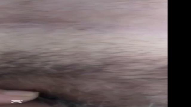 Primeira vez dele aqui foi pintar a casa do sobrinho...