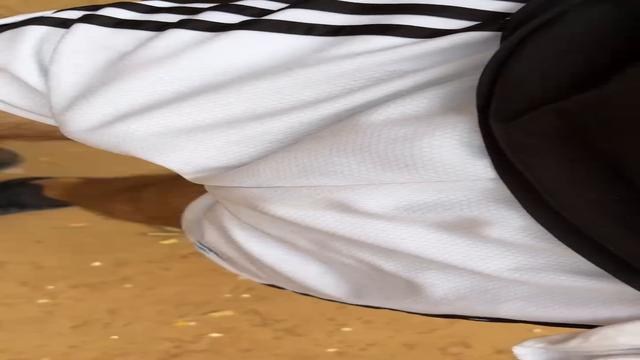 Vídeo 4 de 6 caminhando no bosque, exibindo o pau no...