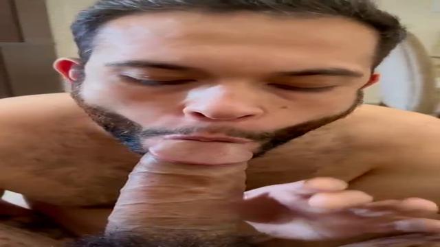 Ursao boqueteiro 