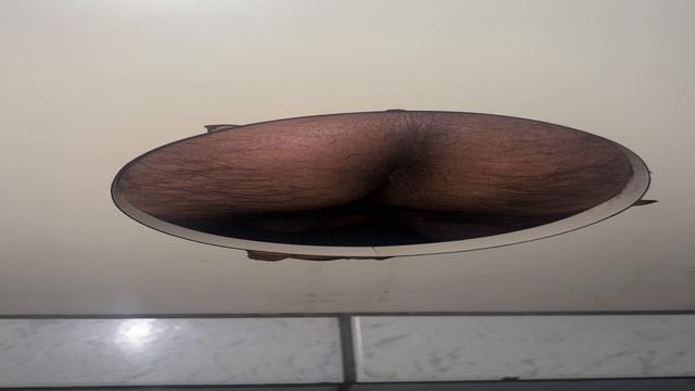 Coroa