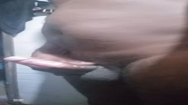 Coroa 60 anos negão tímido inédito batendo aquela pu...