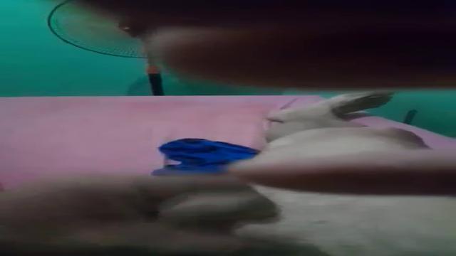 Eraldo 64 anos Pt  1