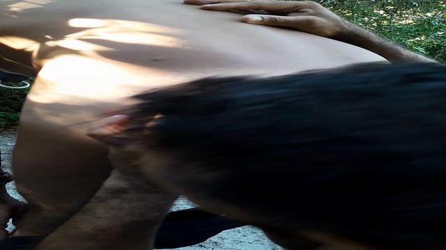 Cadela prenha no mato 
