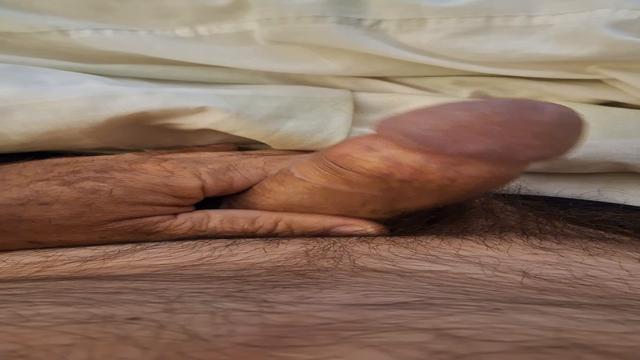 CHEIRAO DE PICAO EMBAIXO DO EDREDON PICAO EXALANDO C...