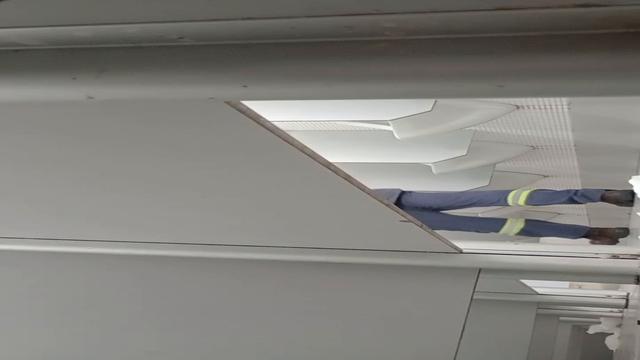 Pega só esses machos