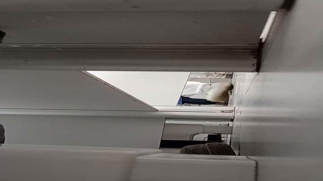 Como é prazeroso ver esses caras mijando 