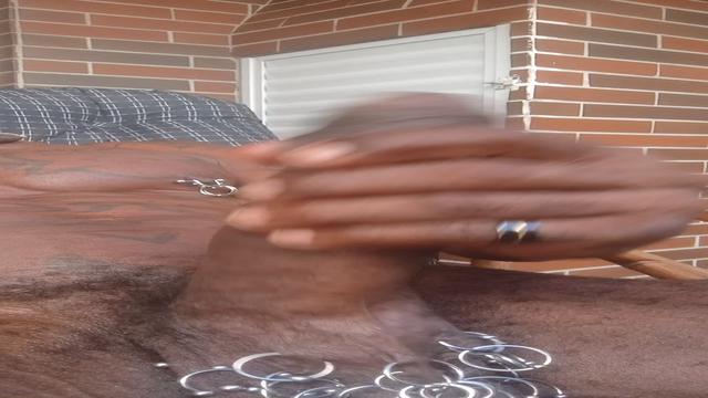 PELA MANHA E MAIS GOSTOSO