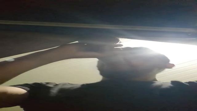 The 20 cm coat became addicted to my feeding.