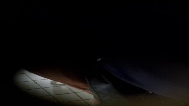 Spy