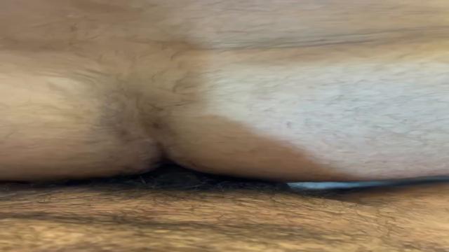 PASSIVO MACHO PARRUDO 