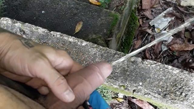 Primeira urina do dia no mato 