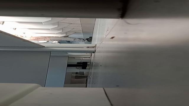 Amo ver esses pauzão 