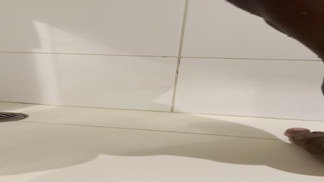 Acalmando o fogo da manhã no chuveiro!