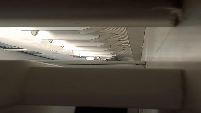 Quantos paus deliciosos 