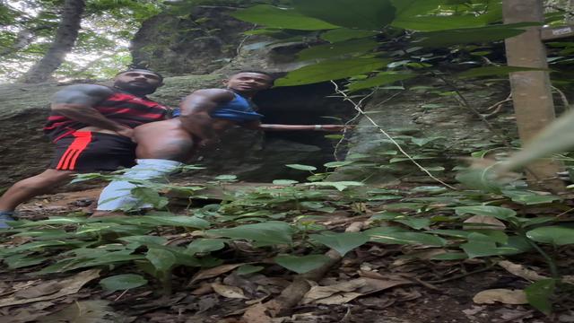 Estava fazendo trilha no RJ e acabei encontrando ess...