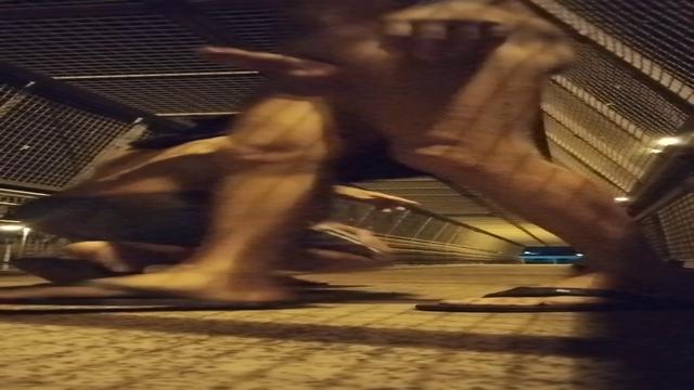 Levei um muleke a putinha pra uma passarela na pista...