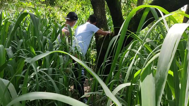 Trilha com novinho desconhecido
