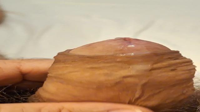 SABADOU DE PICAO DURAO BABANDO DE TESAO 