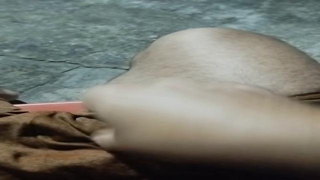 Exibição 