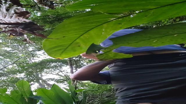 Esquenta na trilha 