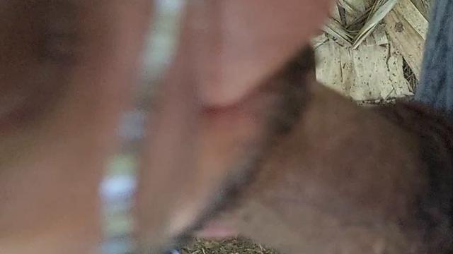 O cara trampo queria aliviar e mamei ele no matinho 