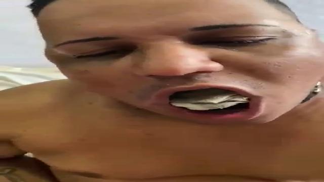 Pig sow suffering heavy humiliation