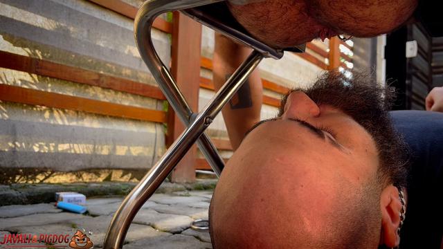 Cagando no quintal