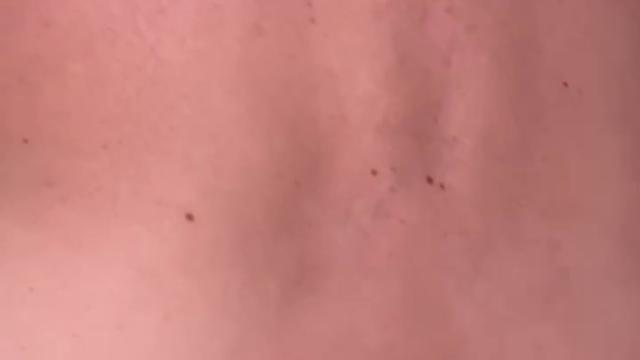 O professor e seu cucetao 3