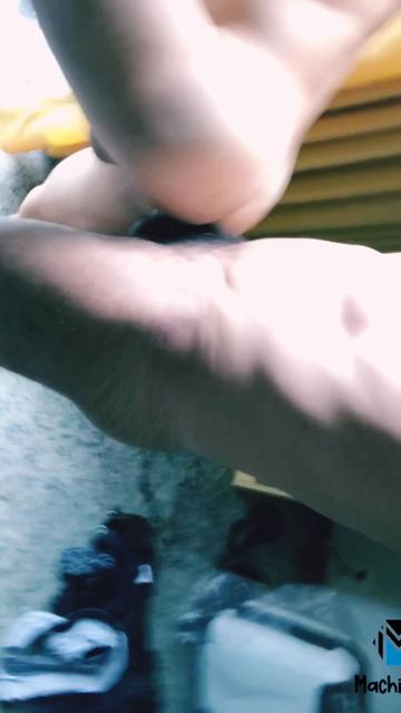 MALHADO PAUZUDO DE BRASILIA - PARTE 2