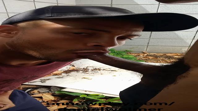 Vídeo 40