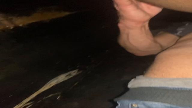 Cinemão Janeiro [ 2 / 2 ]