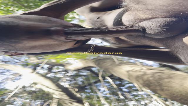 Morador de rua e catador de papelão 