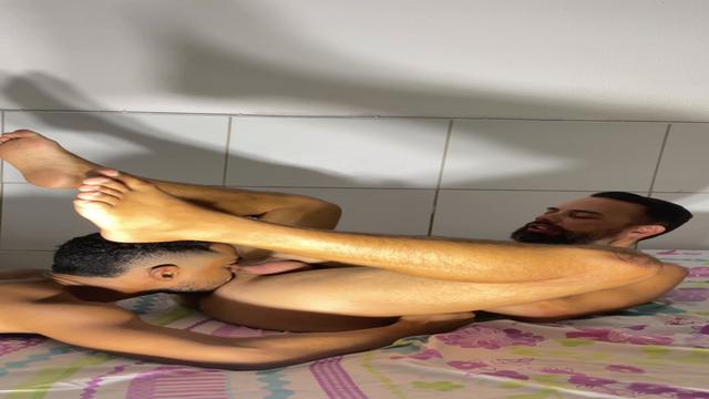 2° parte com o novinho de Pernambuco.