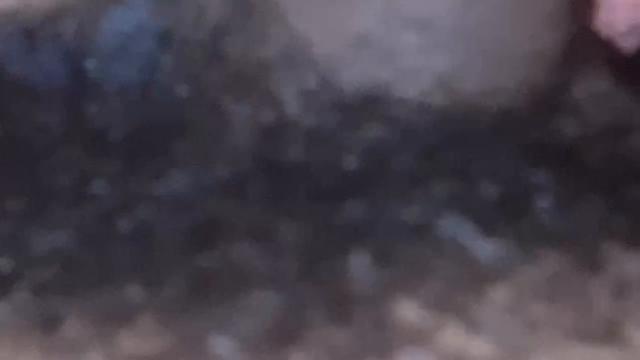 O tatuador cadela parte 1