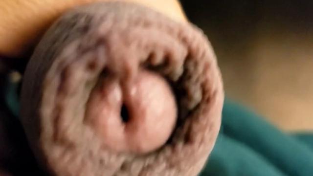 HYPNO ALPHA CASH COCK FORESKIN
