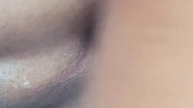 NOVINHO DO PAU GROSSO