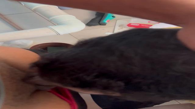 O cara me chamou no grindr disse que queria me mamar...