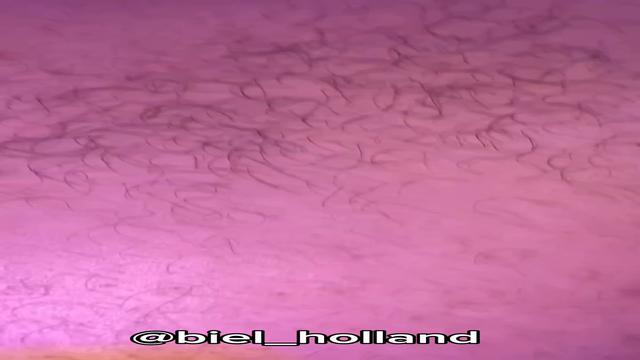 Final de Semana Prazeroso ??